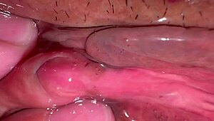 Amateur pink pussy 172 days after virginity loss!