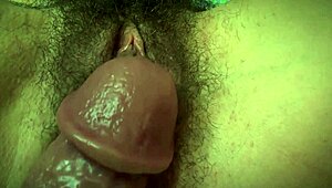Look at This Hairy Horny Pussy Close-Up Being Teased by Big Dick!