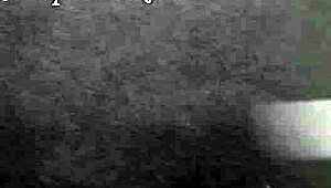 the forbidden really turns me on!