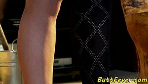 stockings babe anally fucked in gaping ass