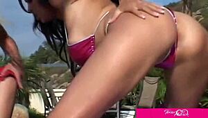 briana banks licks dillan lauren's wet pussy hard!