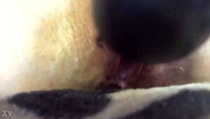 Home Alone Playing With Young Teen In Solo Session