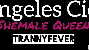 Trannyfever Arg Shemales Queen Vol 1 Angeles Cid