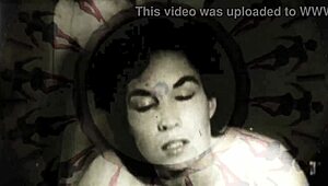 My Secret Life! Vintage Beaver Exposed