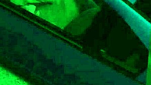 Gta 5 hooker caught in car sex