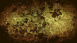 dark lantern entertainment presents vintage women of the world from my secret life the erotic confessions of a victorian english gentleman 😏