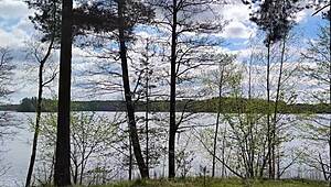 Forester films himself fucking a married milf in the forest