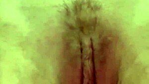 Cute Hairy Blonde Amateur Pussy