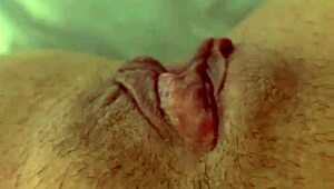 Esposa Safada Acordou com Tesão e Se Masturbou Antes do Trabalho