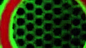 Charlee Chase's tight pussy struggles with that big black cock toy