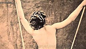 Dark lantern entertainment presents vintage swingers from my secret life the erotic confessions of a victorian english gentleman 😏