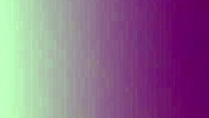 Wife Gives Deepthroat Blowjob To Husband