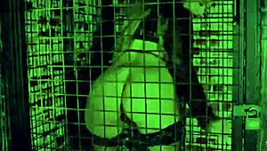 Classy pornstar filth compilation