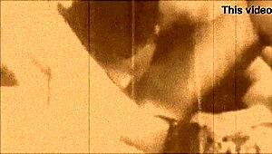 Dark lantern entertainment presents vintage porn classics