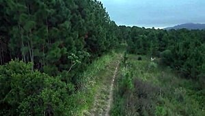 Amateurs With Big Tits In Outdoor Public Voyeur Scenes