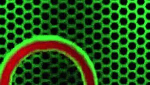 tasha reigns' best solo pussy masturbation with big tits