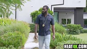 Gotham clown chase vol 1 harley quinn parody cory chase ace bigs