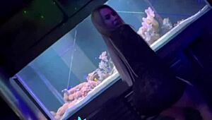 I got fucked in the swing house