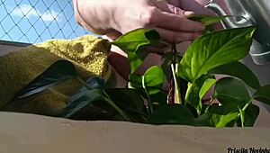 regando minhas plantas toda pelada na varanda para quem quiser ver - parte 02-