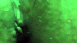 i wanna make a custum vid for u 60 reais 5 min call zap or telgram