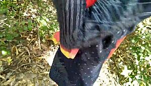 Desi outdoor fuck girlfriend fucking with boyfriend hardcore doggy style. They enjoy horny coed action in college.