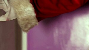 All Through the House 2 Sexy Brunettes at Christmas