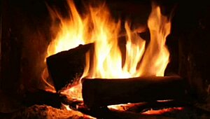 Bold Erotic Narration of the Teen Latina Maid's Adventures