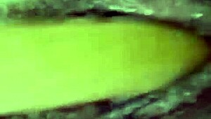 dana barzagli tattooed latina teen shoves dildo deep in her big ass solo