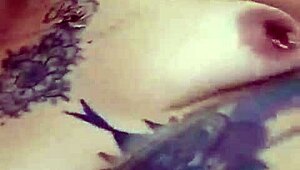 dana barzagli tattooed latina teen shoves dildo deep in her big ass solo