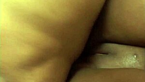 Chubby Ebony Bbws Lick Pussy And Take Bbc Doggystyle In Hardcore Threesome Cumfest