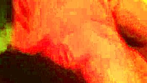 Mi NOVIA me COGE DELICIOSO con su coño apretado y tetas rebotando