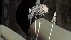 remember those swinging sixties bisexual double anal fights in retro threesomes?