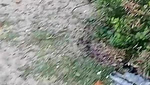 hot latina wife sucks husband on public beach then takes facial cumshot from stranger