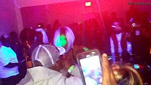 cherise roze teases stripping at philadelphia halloween lounge party