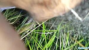 big ass pawg takes monster bbc pounding outdoors by the sea in public