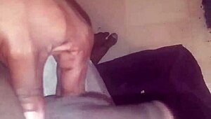 pierced cock throbs horny ready to pound