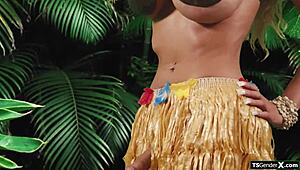 that tgirl hula babe's horn begs for bareback ass licking and group shemale action