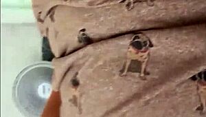 Neighborhood chubby brunette flashed pierced tits then fucked raw