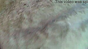 she pegged tracer's fat ass hard and he loved every second i bet you'll crave it too