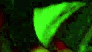 damn, check out this voluptuous latina milf teasing her husband's huge cock with wet pussy riding and footjob