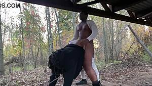 Watch this milf get her big tits pussy pounded outdoors in public moaning frenzy