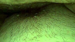 I love my wife taking macho cock in the car so much