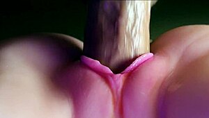 Pink pussy milf sucks huge oiled cock missionary creampie quickie bedroom fuck