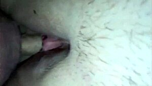 Esposa compartilhada com desconhecido recebe gozada na buceta 💦