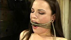 hey, wanna see this bound lesbian get her ass hooked deep?