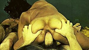 vintage hairy pussy threesome retro group beaver