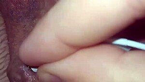 close view of my huge cock's multiple piercing holes