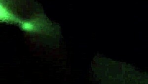 Culiando Rico con Mi Esposa Chilena Caliente y Apasionada