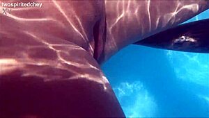 holiday pool threesome explodes with milf and brunette deepthroating monster cocks before juicy pussy licking and doggystyle pounding