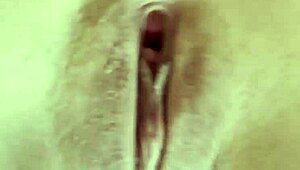 Mira how hot these cocks make me I can't stop craving them all